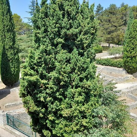 شقة Grande Terrasse Et Vue Sur Le Site Antique فيسون-لا-رومان المظهر الخارجي الصورة